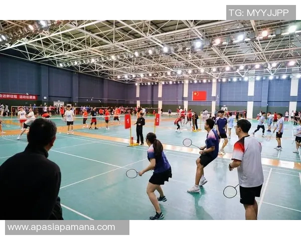 羽毛球战术排行榜揭晓北京羽毛球队荣登第九位引发关注